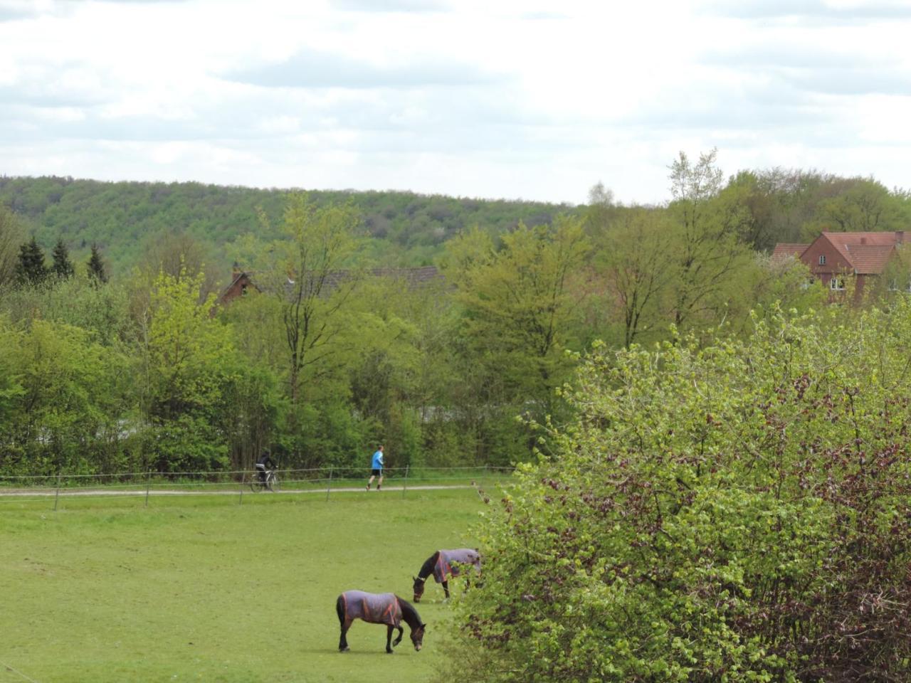 Gasthaus Zum Doerenberg Bad Iburg Buitenkant foto